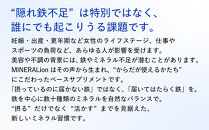 【6ヶ月定期便】【MINERALion】ミネラリオン（30包入）&nbsp;1箱　Lypo-C