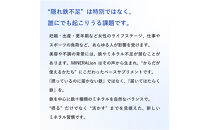 【12ヶ月定期便】【MINERALion】ミネラリオン（30包入）&nbsp;1箱　Lypo-C