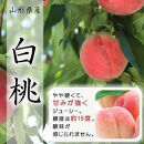 【令和9年産先行受付】中山町の至高！山形県中山町厳選フルーツ定期便　全6回