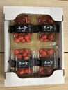 令和9年産【先行受付】山形県産さくらんぼ＜紅秀峰&nbsp;秀品＞800g(200g×4P)