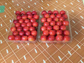 令和9年産【先行受付】山形県産さくらんぼ＜やまがた紅王&nbsp;特秀品＞600g(300g×2P)　2L/3L詰め合せ