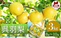 富山&nbsp;大和百貨店&nbsp;選定　呉羽梨　幸水　3kg（8個～10個入）|富山市&nbsp;百貨店選定&nbsp;富山の特産品&nbsp;和梨&nbsp;フルーツ&nbsp;果物&nbsp;甘み豊か&nbsp;みずみずしい&nbsp;厳選出荷&nbsp;人気&nbsp;おすすめ&nbsp;秋の味覚&nbsp;旬の果実&nbsp;国産&nbsp;フルーツギフト&nbsp;贈答用&nbsp;家庭用&nbsp;ジューシー&nbsp;高糖度&nbsp;新鮮&nbsp;果肉たっぷり&nbsp;食後デザート&nbsp;富山県産&nbsp;季節限定&nbsp;お取り寄せ&nbsp;ふるさと納税