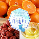 家庭用&nbsp;冷凍梅&nbsp;約3kg&nbsp;紀州&nbsp;南高梅&nbsp;青梅&nbsp;黄梅&nbsp;完熟梅&nbsp;訳あり［IKE333］