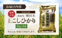 【復興支援】(新米先行受付)【令和8年産】奥能登柳田米&nbsp;Ｅこしひかり&nbsp;3kg