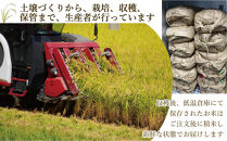 《令和7年産》福岡県大川市産&nbsp;ブランド&nbsp;米「&nbsp;元気つくし&nbsp;」&nbsp;5kg