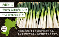 【先行予約】とれたて直送&nbsp;角田市産！とろける甘みの「こだわり長ネギ」&nbsp;約5kg&nbsp;（約20本～30本）【11月上旬以降発送】|&nbsp;新鮮&nbsp;産地直送
