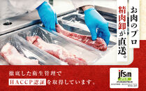 【2027年2月お届け】訳あり！博多醤油もつ鍋&nbsp;10人前(2人前×5セット)