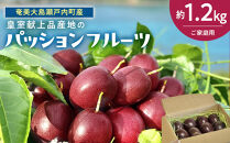 27年産先行予約&nbsp;パッションフルーツ&nbsp;ご家庭用&nbsp;&nbsp;約1.2kg