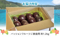 27年産先行予約&nbsp;パッションフルーツ&nbsp;ご家庭用&nbsp;&nbsp;約1.2kg