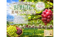 【2026年】高糖度×長野県限定！赤くてジューシーなクイーンルージュ(R)2房（1～1.2kg)　8ふぁーむ｜&nbsp;クイーンルージュ&nbsp;８ふぁーむ&nbsp;高糖度&nbsp;長野県限定&nbsp;人気&nbsp;おすすめ&nbsp;フルーツ&nbsp;果物&nbsp;ぶどう&nbsp;赤ぶどう&nbsp;旬&nbsp;産地直送&nbsp;先行予約&nbsp;送料無料&nbsp;長野県&nbsp;長野市&nbsp;信州&nbsp;信濃&nbsp;ふるさと納税