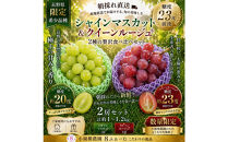 【2026年】薄皮シャイン＆高糖度クイーンルージュ(R)食べ比べセット各１房&nbsp;８ふぁーむ｜&nbsp;ぶどう&nbsp;シャインマスカット&nbsp;クイーンルージュ&nbsp;食べ比べ&nbsp;人気&nbsp;おすすめ&nbsp;フルーツ&nbsp;果物&nbsp;マスカット&nbsp;旬&nbsp;産地直送&nbsp;送料無料&nbsp;長野県&nbsp;長野市&nbsp;信州&nbsp;信濃&nbsp;ふるさと納税