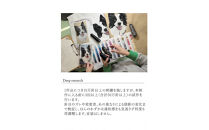 【完全オーダーメイド】ペットフォト刺繍クッション&nbsp;Cue&nbsp;by青久商店｜自社ラボ一貫制作・高精細仕上げ&nbsp;レギュラーサイズ