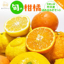 有田育ちの&nbsp;旬の&nbsp;柑橘&nbsp;詰合せセット（ご家庭用）約7.5kg［先行予約］［MS163］