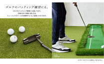 【高島屋選定品】　ｓｈｉｂａ－ｃｏｃｏｃｈｉ室内用人工芝ホームタイル１２枚　TT400HT