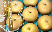 余瀬松本梨園&nbsp;梨&nbsp;あきづき5kg&nbsp;箱≪9月～10月頃発送≫