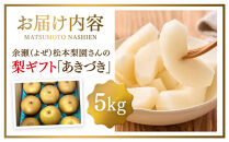 余瀬松本梨園&nbsp;梨&nbsp;あきづき5kg&nbsp;箱≪9月～10月頃発送≫
