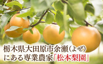 余瀬松本梨園&nbsp;梨&nbsp;［にっこり］3kg箱≪9月中旬～11月頃発送≫