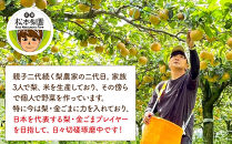 余瀬松本梨園&nbsp;梨&nbsp;豊水3kg&nbsp;箱≪8月中旬～10月頃発送≫