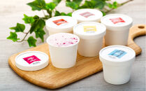 【夏ギフトにも！】クラフトアイスクリーム&nbsp;HOLIDAY&nbsp;ICE&nbsp;CREAM&nbsp;STORE&nbsp;CLASSICS&nbsp;132ml×12個セット