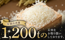 【特Aランク】令和7年&nbsp;北海道産ゆめぴりか2kg【&nbsp;お米&nbsp;米&nbsp;こめ&nbsp;コメ&nbsp;kome&nbsp;come&nbsp;ライス&nbsp;らいす&nbsp;rice&nbsp;特A&nbsp;北海道産&nbsp;白米&nbsp;精米&nbsp;ご飯&nbsp;ごはん&nbsp;5kg&nbsp;お米&nbsp;旭川市&nbsp;北海道&nbsp;】_06542