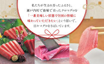 【3回定期便】奄美大島産養殖クロマグロ&nbsp;2柵セット