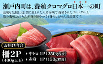【6回定期便】奄美大島産養殖クロマグロ&nbsp;2柵セット