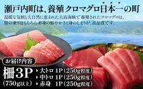 【6回定期便】奄美大島産養殖クロマグロ&nbsp;3柵セット&nbsp;750g以上
