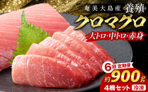 【6回定期便】奄美大島産養殖クロマグロ&nbsp;4柵セット&nbsp;900g以上