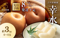 梨&nbsp;幸水&nbsp;約3kg&nbsp;6玉～8玉入&nbsp;吉川果樹園&nbsp;8月下旬～順次発送&nbsp;先行予約&nbsp;なし&nbsp;ナシ&nbsp;和梨&nbsp;フルーツ&nbsp;果物&nbsp;くだもの&nbsp;産地直送&nbsp;旬&nbsp;旬の味覚&nbsp;旬のフルーツ&nbsp;旬の果物&nbsp;甘さ&nbsp;酸味&nbsp;シャリ感&nbsp;ジューシー&nbsp;国産&nbsp;デザート&nbsp;お取り寄せ&nbsp;送料無料&nbsp;数量限定&nbsp;季節限定