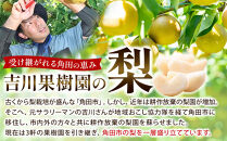 梨&nbsp;あきづき&nbsp;約3kg&nbsp;6～8玉&nbsp;2026年分先行予約&nbsp;9月下旬～順次発送&nbsp;吉川果樹園&nbsp;和梨&nbsp;なし&nbsp;ナシ&nbsp;秋月&nbsp;秋づき&nbsp;フルーツ&nbsp;果物&nbsp;産地直送&nbsp;旬&nbsp;旬の果物&nbsp;旬の味覚&nbsp;旬のフルーツ&nbsp;国産&nbsp;デザート&nbsp;甘さ&nbsp;酸味&nbsp;シャリ感&nbsp;ジューシー&nbsp;人気&nbsp;おすすめ&nbsp;数量限定&nbsp;季節限定