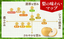 梨&nbsp;あきづき&nbsp;約3kg&nbsp;6～8玉&nbsp;2026年分先行予約&nbsp;9月下旬～順次発送&nbsp;吉川果樹園&nbsp;和梨&nbsp;なし&nbsp;ナシ&nbsp;秋月&nbsp;秋づき&nbsp;フルーツ&nbsp;果物&nbsp;産地直送&nbsp;旬&nbsp;旬の果物&nbsp;旬の味覚&nbsp;旬のフルーツ&nbsp;国産&nbsp;デザート&nbsp;甘さ&nbsp;酸味&nbsp;シャリ感&nbsp;ジューシー&nbsp;人気&nbsp;おすすめ&nbsp;数量限定&nbsp;季節限定