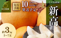 梨&nbsp;新高&nbsp;約3kg&nbsp;5～7玉&nbsp;2026年分先行予約&nbsp;10月中旬～順次発送&nbsp;吉川果樹園&nbsp;にいたか&nbsp;なし&nbsp;ナシ&nbsp;和梨&nbsp;大玉&nbsp;ジャンボ&nbsp;フルーツ&nbsp;果物&nbsp;旬の果物&nbsp;旬の味覚&nbsp;旬のフルーツ&nbsp;国産&nbsp;産地直送&nbsp;旬&nbsp;完熟&nbsp;高糖度&nbsp;甘さ&nbsp;酸味&nbsp;シャリ感&nbsp;ジューシー&nbsp;デザート&nbsp;数量限定&nbsp;季節限定