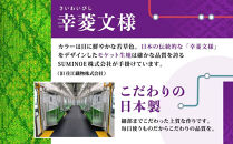 【京都市交通局協力会】京都市営地下鉄烏丸線20系モケット生地ペンケース&nbsp;ケース&nbsp;人気&nbsp;おすすめ&nbsp;［&nbsp;京都市&nbsp;地下鉄&nbsp;電車&nbsp;烏丸&nbsp;ペン&nbsp;ケース&nbsp;筆箱&nbsp;筆記用具&nbsp;グッズ&nbsp;ボールペン&nbsp;鉛筆入れ&nbsp;運転&nbsp;車掌&nbsp;人気&nbsp;おすすめ&nbsp;送料無料&nbsp;ふるさと納税&nbsp;］