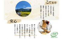 【令和8年産】定期便10kg×12回&nbsp;ごはんソムリエの南魚沼産コシヒカリ　100％塩沢産【定期便&nbsp;銘柄米&nbsp;ブランド米&nbsp;精米&nbsp;こしひかり&nbsp;コシヒカリ魚沼産&nbsp;新潟米&nbsp;新潟県産&nbsp;産地直送&nbsp;ご飯&nbsp;御飯&nbsp;ごはん&nbsp;お米&nbsp;米】【2026年9月中旬より1ヶ月以内に順次発送予定】