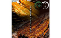 国産鰻炭火焼　紅白セット（蒲焼&nbsp;白焼&nbsp;各1本&nbsp;計355g）