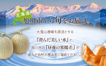 【先行予約】北海道産赤肉メロン約2.0kg×2玉&nbsp;(2027年7月中旬から発送開始予定)&nbsp;【&nbsp;果物&nbsp;くだもの&nbsp;フルーツ&nbsp;メロン&nbsp;赤肉&nbsp;赤肉メロン&nbsp;めろん&nbsp;meron&nbsp;melon&nbsp;国産&nbsp;デザート&nbsp;産地直送&nbsp;旬&nbsp;お取り寄せ&nbsp;甘い&nbsp;旭川産&nbsp;旭川市&nbsp;北海道&nbsp;】_06076