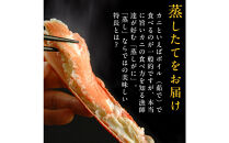 タグ付き&nbsp;蒸し松葉蟹×1枚（950g前後）【鳥取県&nbsp;境港市】
