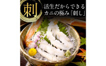 タグ付き&nbsp;活生松葉蟹×1枚（350g前後）【鳥取県&nbsp;境港市】