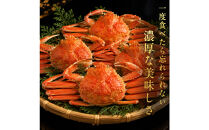 【11月中旬以降発送】訳あり&nbsp;浜茹でせいこ蟹×5枚（750g前後）【鳥取県&nbsp;境港市】