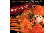【11月中旬以降発送】訳あり&nbsp;浜茹でせいこ蟹×5枚（750g前後）【鳥取県&nbsp;境港市】