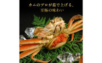 【11月中旬以降発送】訳あり&nbsp;浜茹でせいこ蟹×5枚（750g前後）【鳥取県&nbsp;境港市】