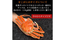 【11月中旬以降発送】訳あり&nbsp;浜茹でせいこ蟹×5枚（750g前後）【鳥取県&nbsp;境港市】