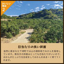 とれたてしもつみかん&nbsp;3kg&nbsp;家庭用｜和歌山県海南市の下津みかんを産地直送でお届け［2026年11月発送開始］