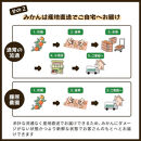 とれたてしもつみかん&nbsp;3kg&nbsp;家庭用｜和歌山県海南市の下津みかんを産地直送でお届け［2026年11月発送開始］