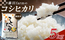 【先行予約受付】≪10月上旬発送≫令和８年産&nbsp;大田原市&nbsp;藤田farmのコシヒカリ&nbsp;【無洗米】&nbsp;5kg&nbsp;｜栃木県産&nbsp;米&nbsp;お米&nbsp;&nbsp;コメ&nbsp;こしひかり&nbsp;コシヒカリ&nbsp;栃木県&nbsp;【選べる容量】5kg&nbsp;10kg&nbsp;&nbsp;数量限定
