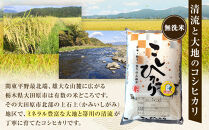 【先行予約受付】≪10月上旬発送≫令和８年産&nbsp;大田原市&nbsp;藤田farmのコシヒカリ&nbsp;【無洗米】&nbsp;5kg&nbsp;｜栃木県産&nbsp;米&nbsp;お米&nbsp;&nbsp;コメ&nbsp;こしひかり&nbsp;コシヒカリ&nbsp;栃木県&nbsp;【選べる容量】5kg&nbsp;10kg&nbsp;&nbsp;数量限定