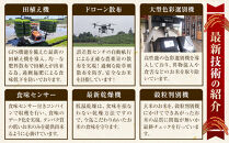 【先行予約受付】≪10月上旬発送≫令和８年産&nbsp;大田原市&nbsp;藤田farmのにじのきらめき&nbsp;【無洗米】&nbsp;10kg&nbsp;｜栃木県産&nbsp;米&nbsp;お米&nbsp;&nbsp;コメ&nbsp;にじのきらめき&nbsp;&nbsp;栃木県&nbsp;【選べる容量】5kg&nbsp;10kg&nbsp;&nbsp;数量限定