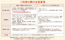 【能美市】JTBふるさと旅行券（紙券）90,000円分