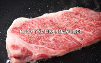 【A5仙台牛】サーロインステーキ&nbsp;540g(270g×2)&nbsp;&nbsp;｜&nbsp;最高等級&nbsp;黒毛和牛&nbsp;牛肉&nbsp;仙台市&nbsp;ギフト&nbsp;贈答用&nbsp;グルメ&nbsp;お取り寄せ