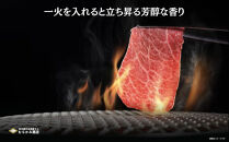 【A5仙台牛】焼肉スライス&nbsp;1.0kg(500g×2)&nbsp;&nbsp;｜&nbsp;最高等級&nbsp;黒毛和牛&nbsp;牛肉&nbsp;仙台市&nbsp;ギフト&nbsp;贈答用&nbsp;グルメ&nbsp;お取り寄せ